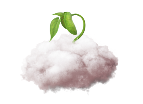 Why do agribusinesses need a cloud? 